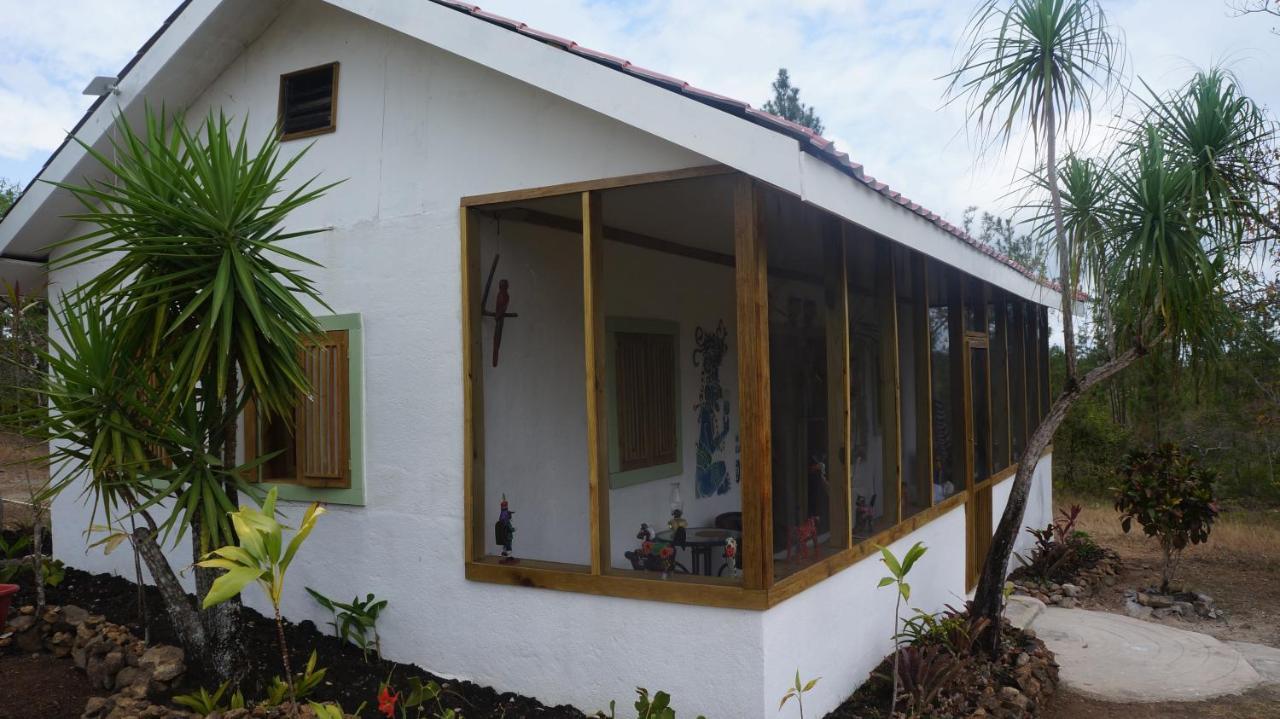 Pine Ridge Lodge ซานอิกนาซิโอ ภายนอก รูปภาพ