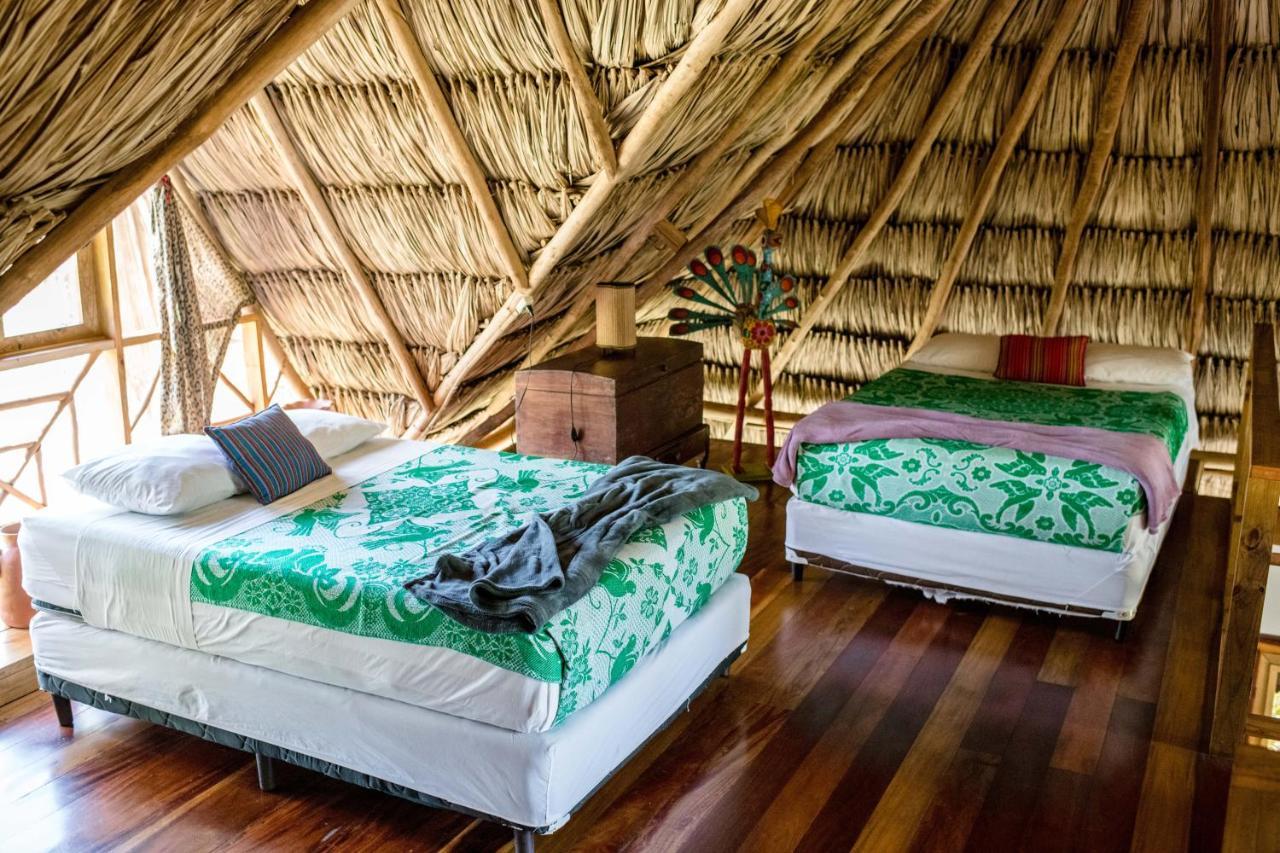 Pine Ridge Lodge ซานอิกนาซิโอ ภายนอก รูปภาพ