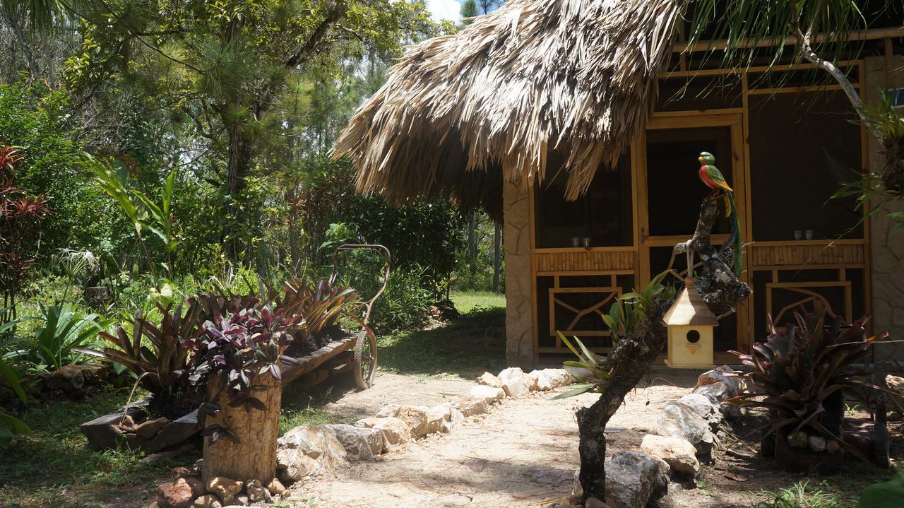 Pine Ridge Lodge ซานอิกนาซิโอ ภายนอก รูปภาพ